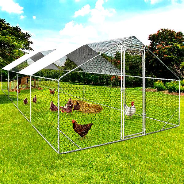 XXL Chicken Run – 24m² Galvanized Steel Park with Reinforced Structure