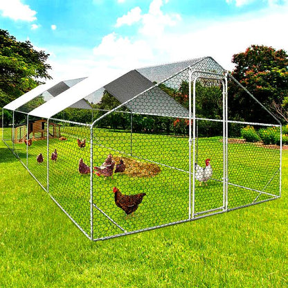 XXL Chicken Run – 24m² Galvanized Steel Park with Reinforced Structure