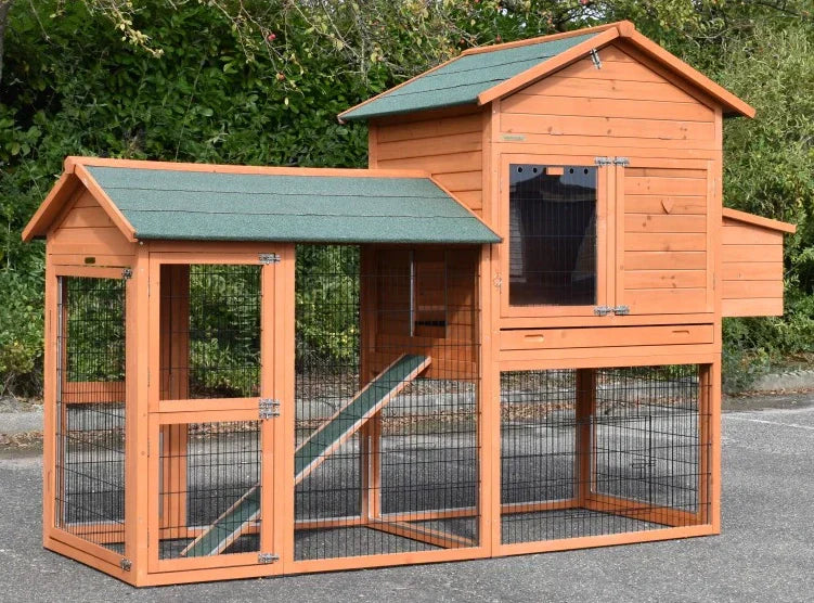 Prestige Large Chicken Coop
