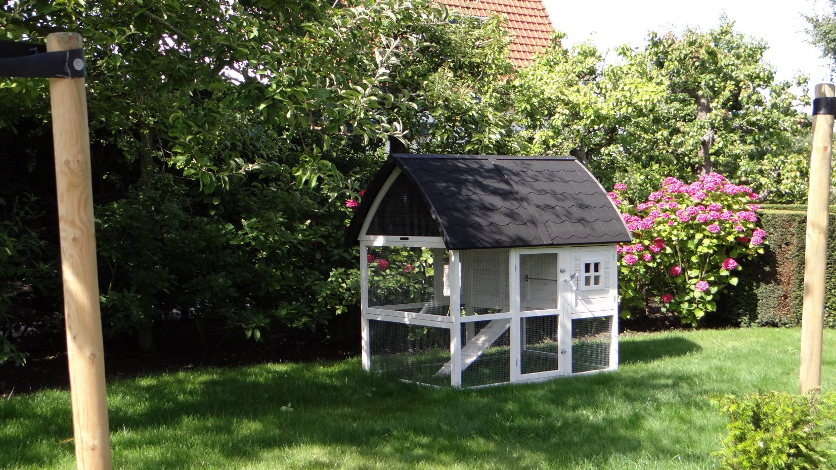 Kathedraal Chicken Coop