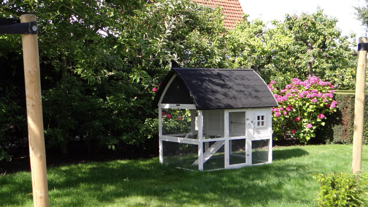 Kathedraal Chicken Coop