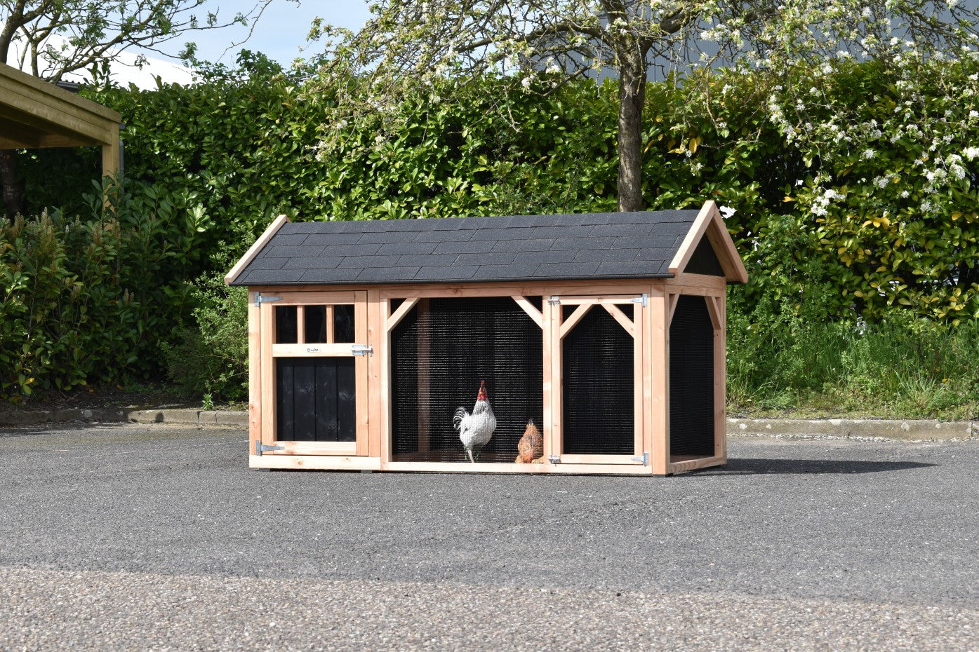 Belle 2 Chicken Coop