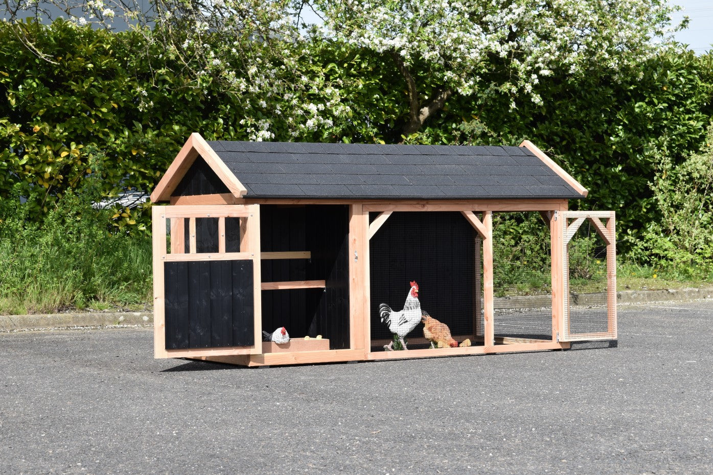 Belle 2 Chicken Coop