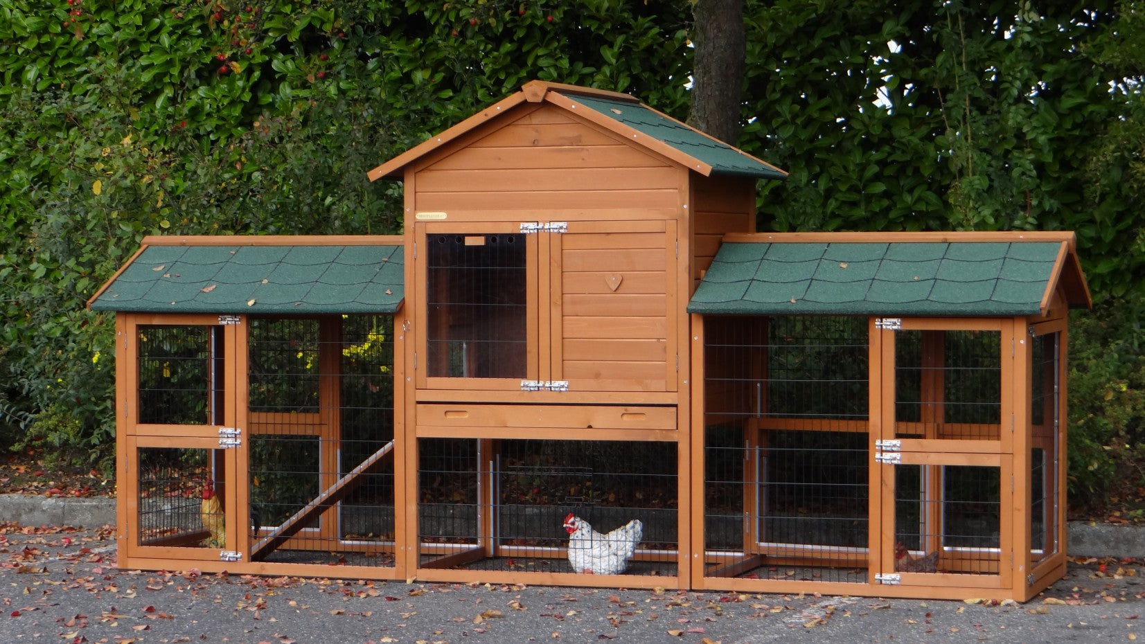 Prestige Medium Double Chicken Coop