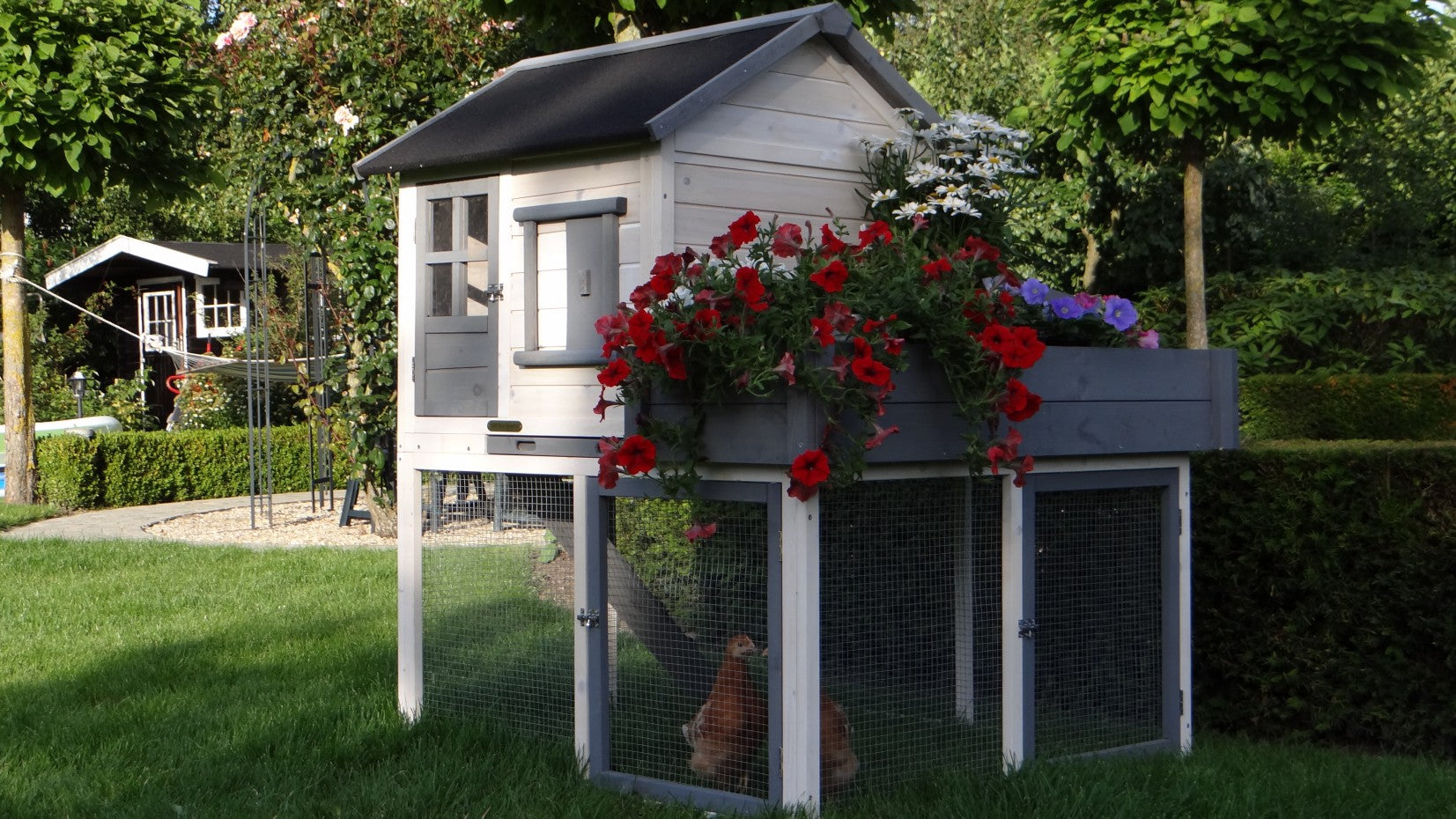 Sunshine Chicken Coop