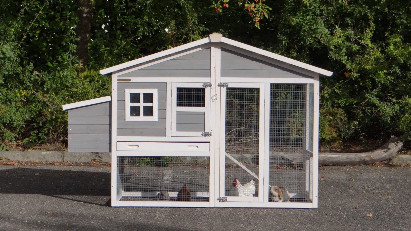 Niels Chicken Coop