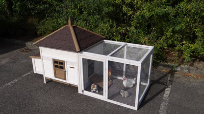 Large Ambiance Chicken Coop