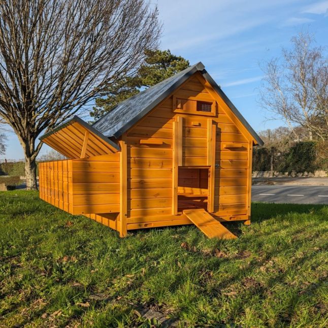 XXL Chicken Coop with Sheet Metal Roof