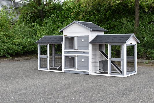 Double Medium Chicken Coop White-Grey
