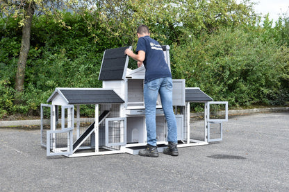 Double Small Chicken Coop White-Grey