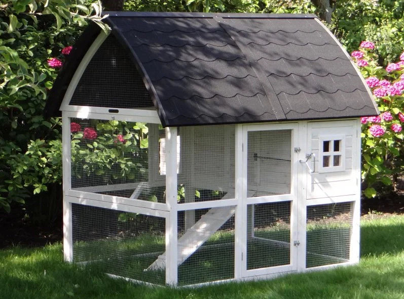 Kathedraal Chicken Coop