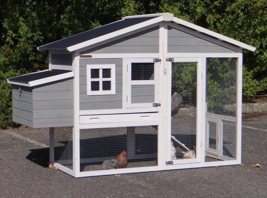 Niels Chicken Coop