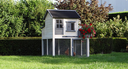 Sunshine Chicken Coop